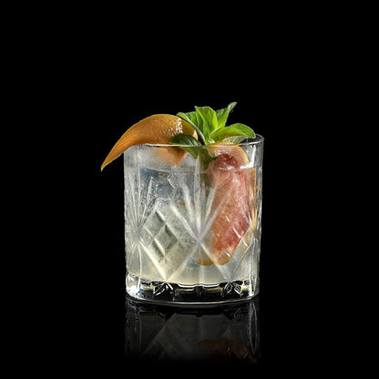 RCR 25832020006 Water Glass, Set of 6