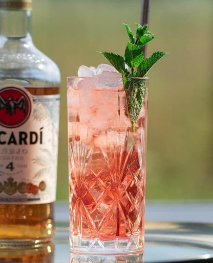 RCR 25766020006 Melodia Crystal Hi-Ball Cocktail Water Tumbler Glass, 23 x 15.5 x 15.5 cm, Clear