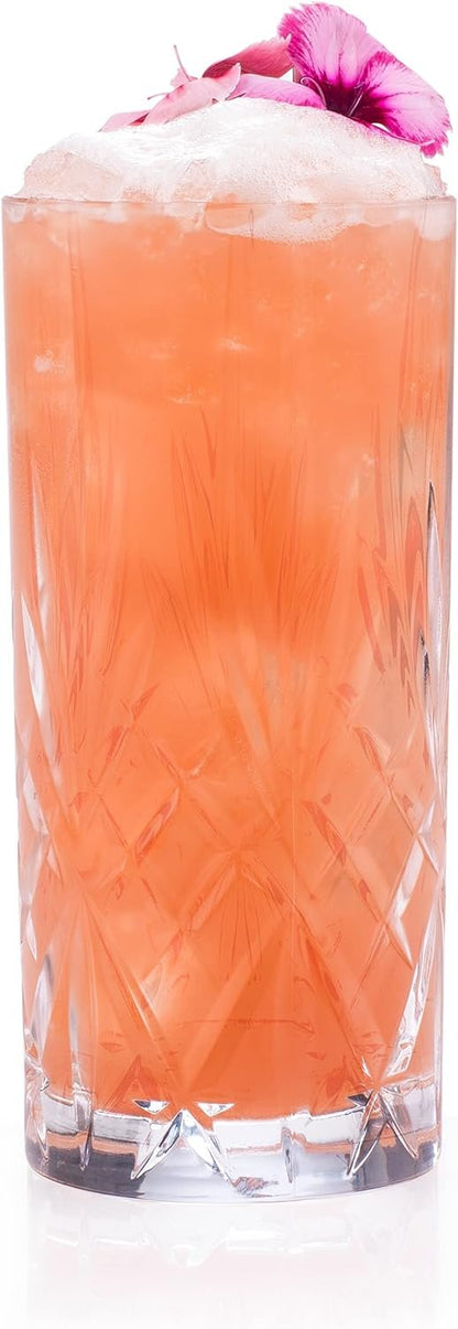 RCR 25766020006 Melodia Crystal Hi-Ball Cocktail Water Tumbler Glass, 23 x 15.5 x 15.5 cm, Clear